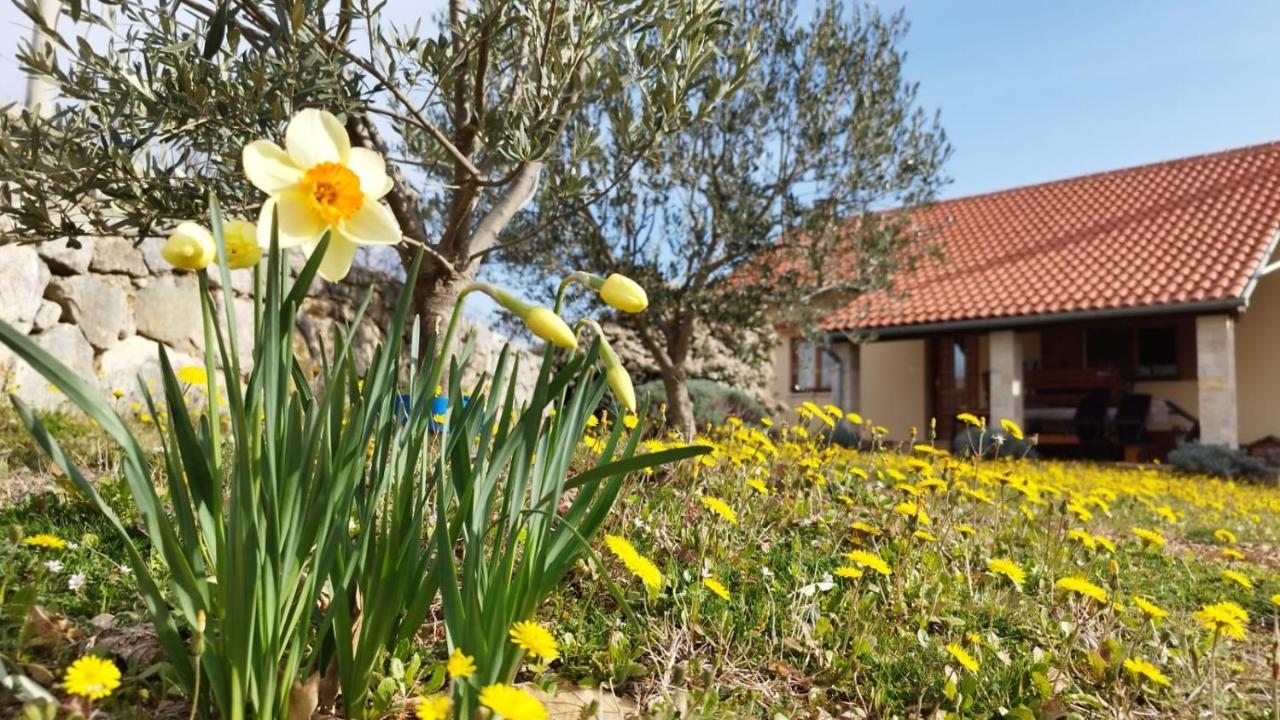 Holiday House Green Dream أوبروفاتش المظهر الخارجي الصورة